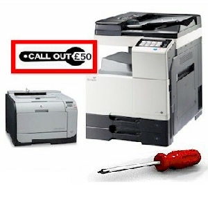 Local On-site Office Canon, Develop, Epson, HP, Konica Minolta, Kyocera, OKI, Olivetti, Ricoh, Samsung, Utax, Xerox Printer, Photocopier, Copier, service, servicing, repair, fix, mend,  installation in CHICHESTER, WEST SUSSEX and surrounding areas.