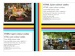 test_chart.pdf